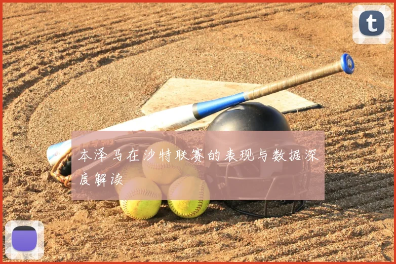 本泽马在沙特联赛的表现与数据深度解读